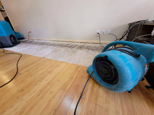Professional Emergency Water Damage technician working in Rego Park, NY